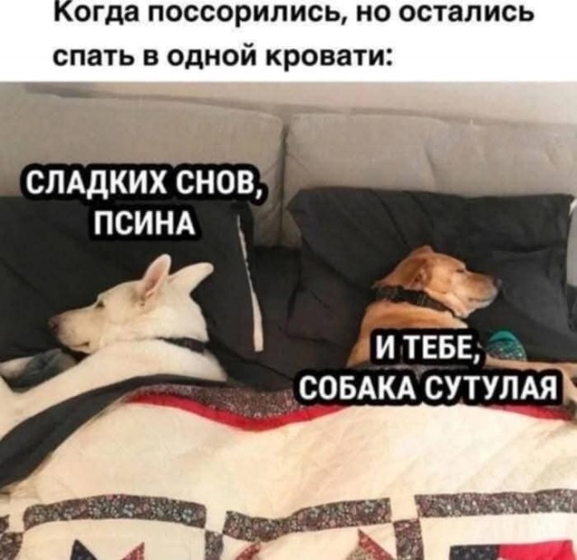 Маленькая пятница 16.04.25