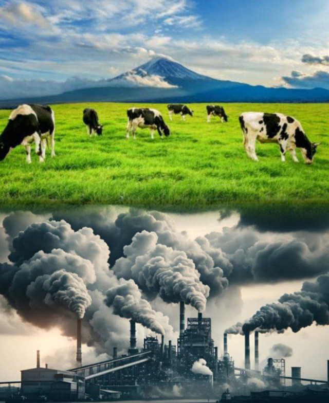 Ковид, Цифровая валюта и прочие радости