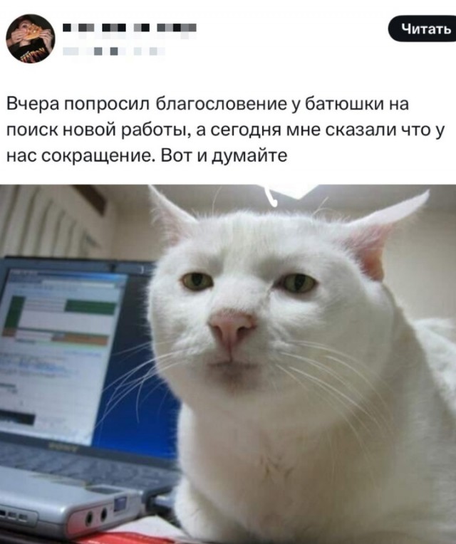 Весёлый полтишок 06.06.25