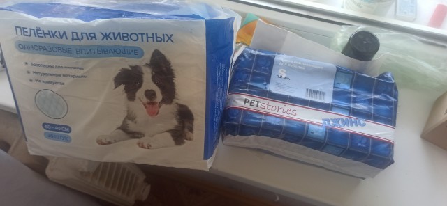 Поздравляйте с моим первым собакеным
