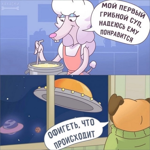 Давно не было....