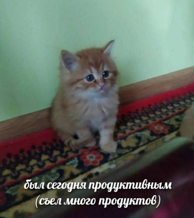 Небаянистая деградация 8