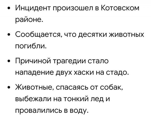 В Башкирии пастух решил перегнать 300 овец по льду, но он не выдержал: сотни животных ушли под воду