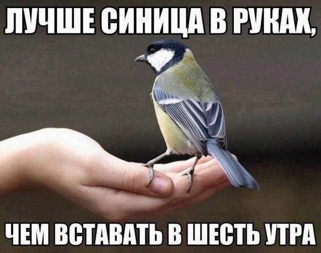 Среды картинки