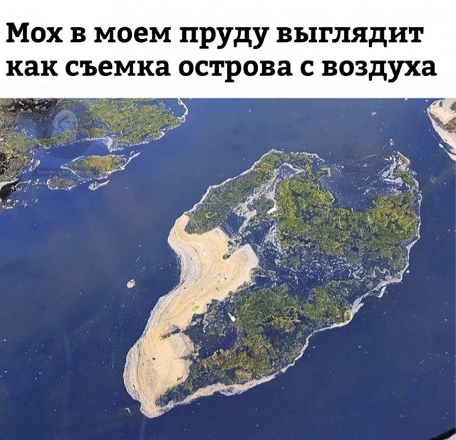 Субботние картинки