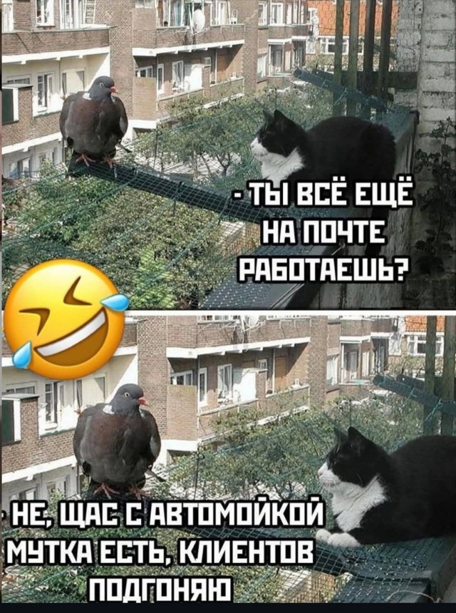 Субботние картинки