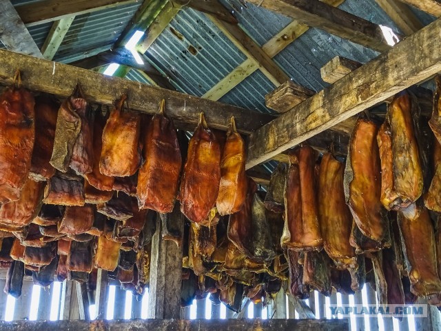 Были ли черная икра и крабы повседневной едой?