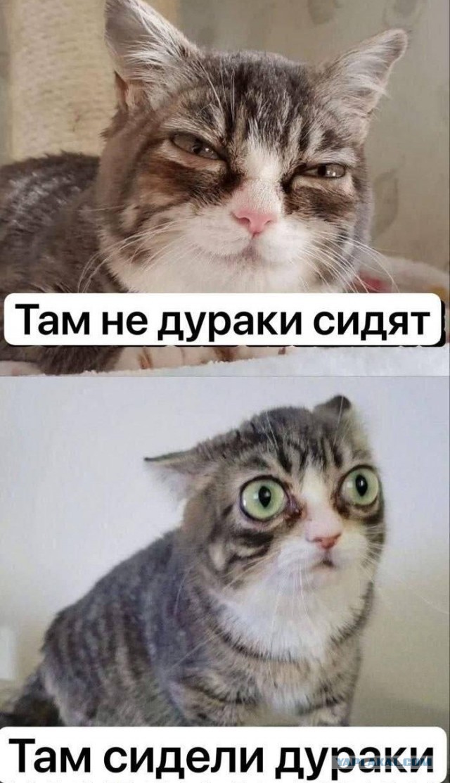 Власти отложили введение дополнительной платы за VPN