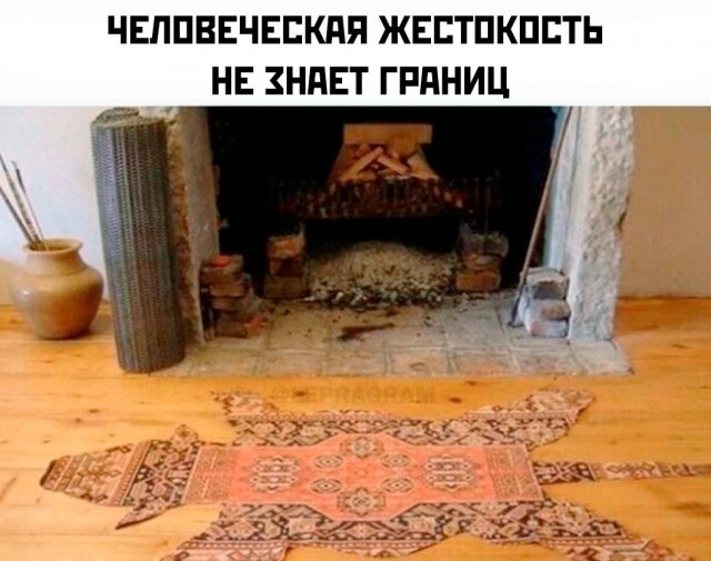 Так себе картинки 21.06.26