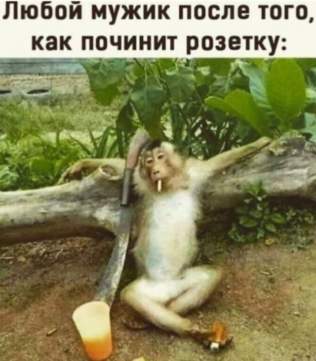 Немного картинок во вторник