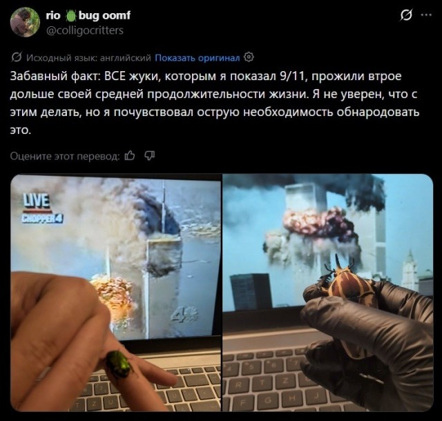 Так себе картинки 27.07.26