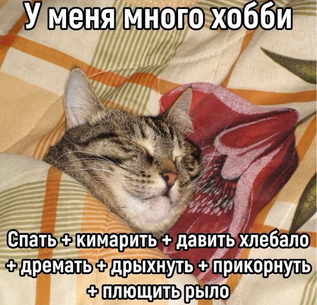 Веселое настроение в картинках 16.08.26