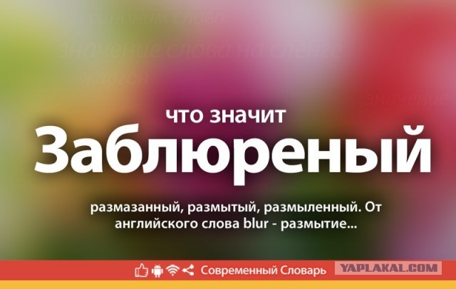 Илон Маск и Майли Сайрус обворовали россиянку
