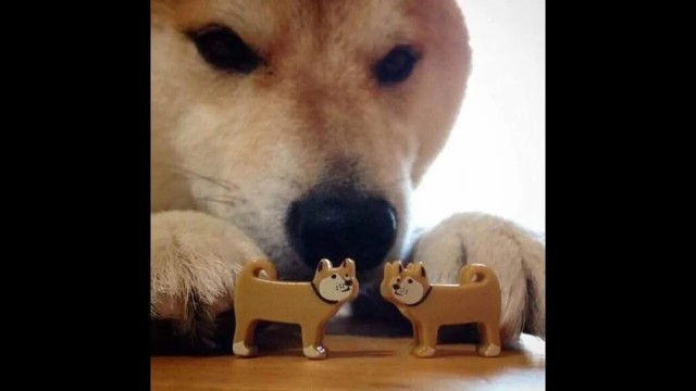 Демография