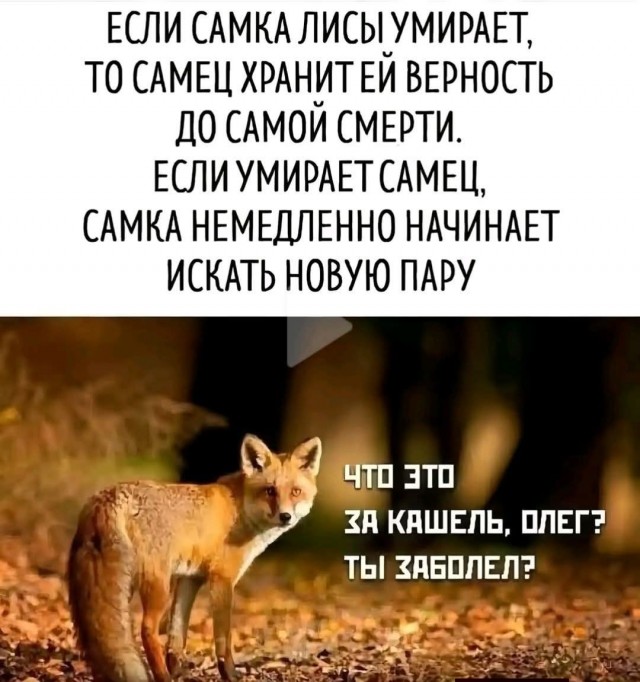 Картинки для деградации 306 (разной степени свежести)