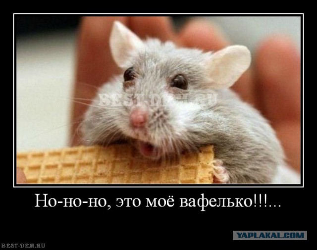 Я хочу замуж