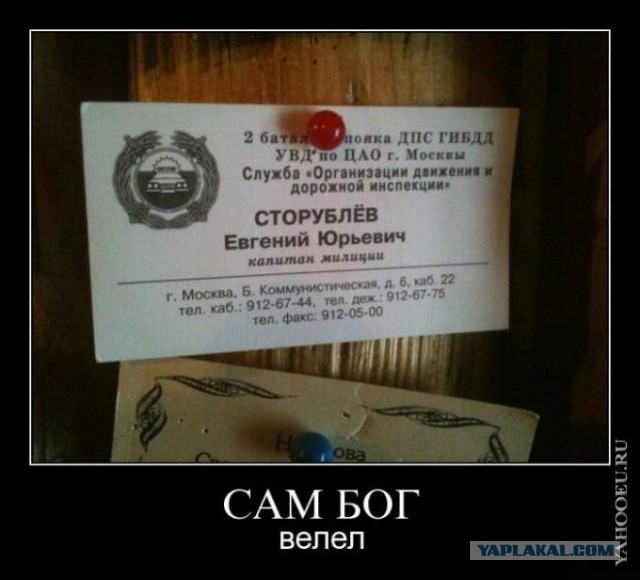 Люди на своём месте