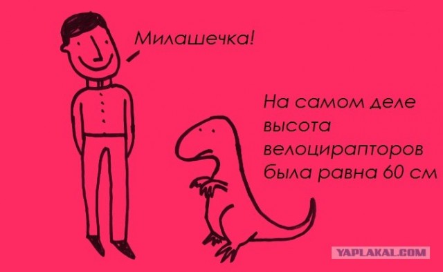 Забавные минифакты в картинках
