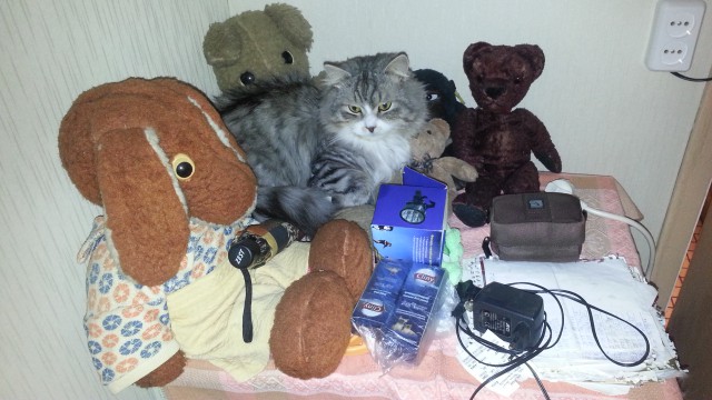 Зверята в обнимку с игрушками.