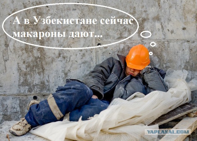 Мигранты.