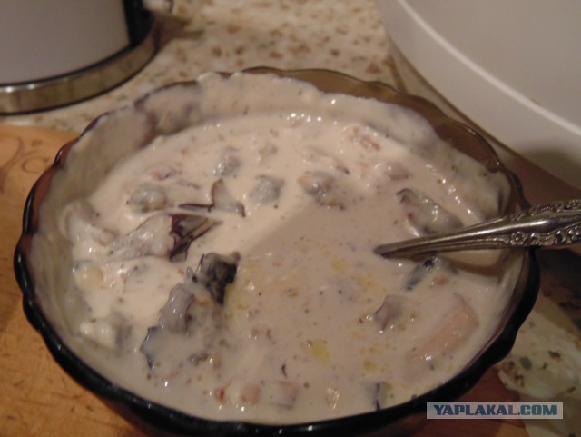 Тема памяти БоРмАnа и Дженибека, Готовим по рецептам ребят