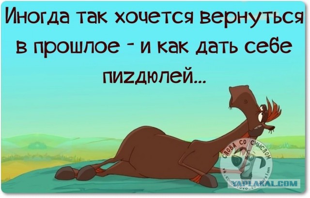 Веселые жизненные наблюдения из Вредного журнала