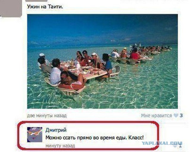 Смешные комментарии из социальных сетей 13.08.15