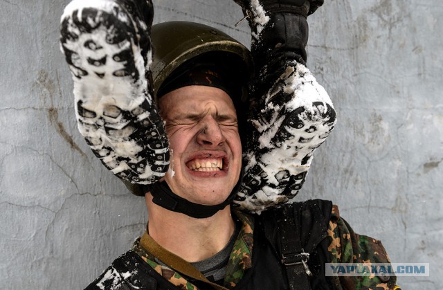 Фотографии, сделанные в нужный момент