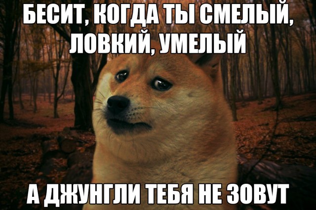 Кого что бесит?