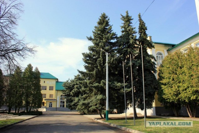 Сельскохозяйственный эксперимент ч. 7