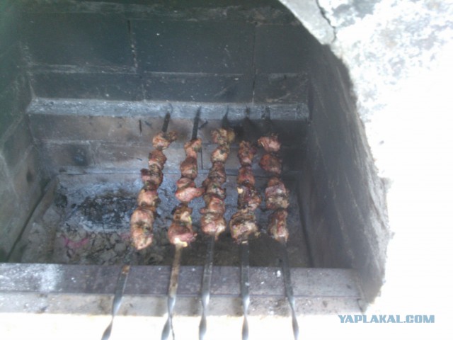 Дачные приколы