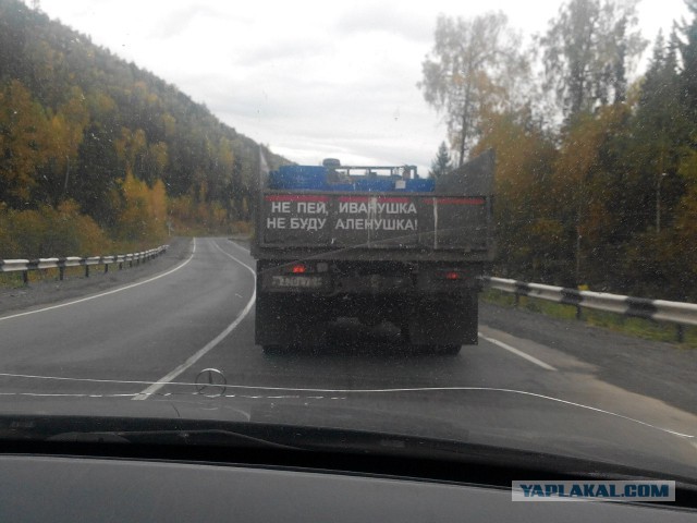 Весёлые картинки