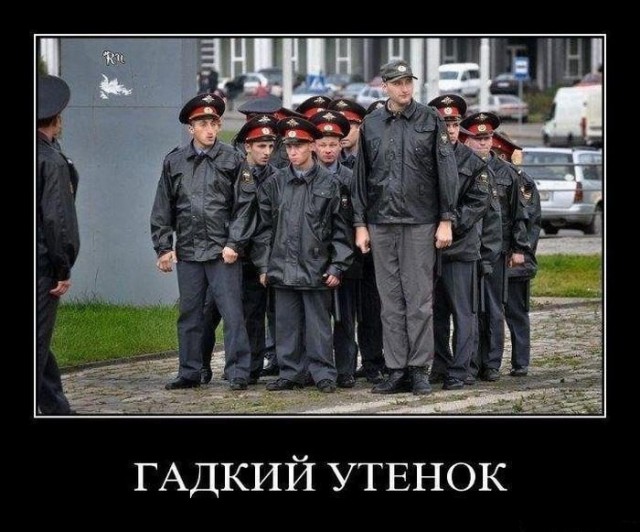 Немножко картинок с буквами, типа демотиваторы