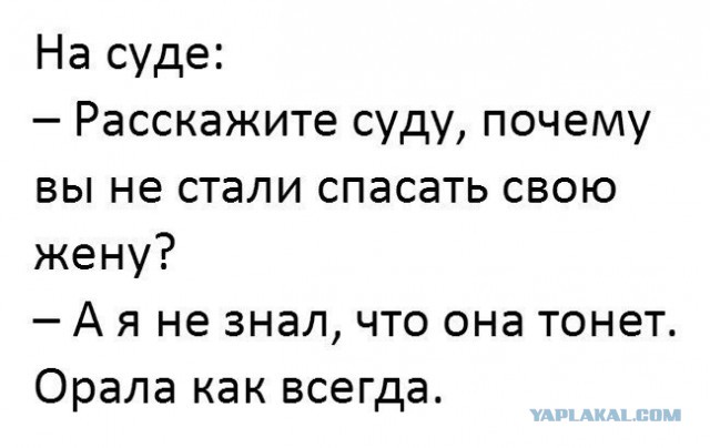 Точка бифуркации пройдена...