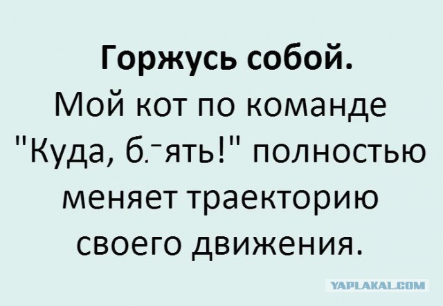 Немного деграданса - 6