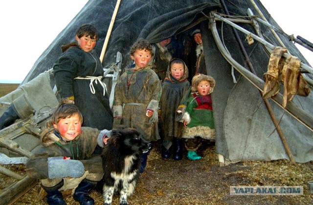 Кто ответит за этот беспредел? Погиб ребёнок, изъятый ювенальными службами