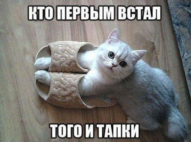 Подборка забавных картинок