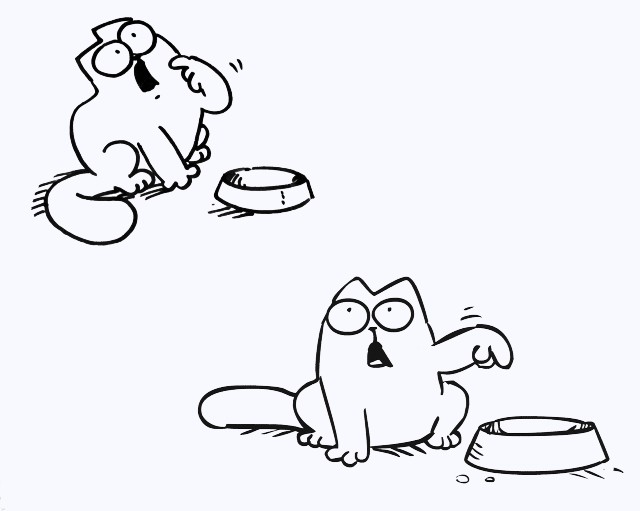 Котэ хочет есть