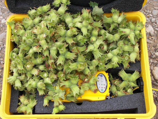 Командировка. В леса