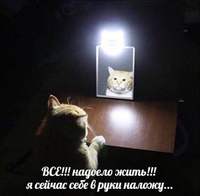 Прикольные картинки