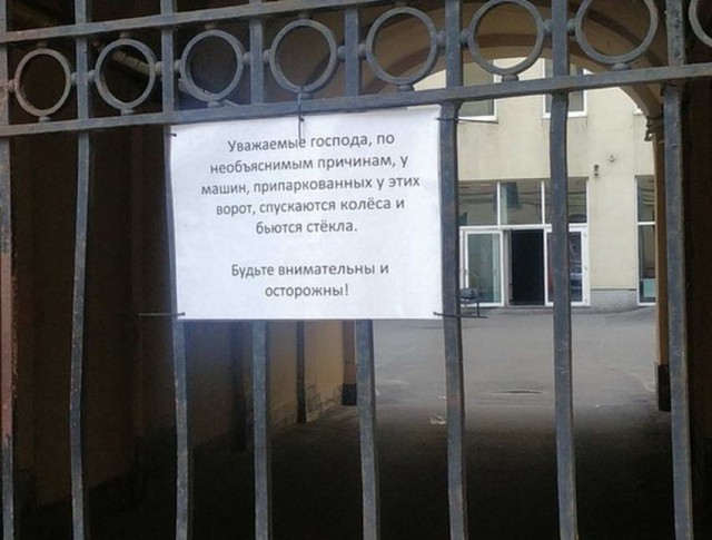 Занимательная антропология