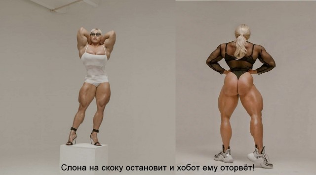 Мощных дам коллекция