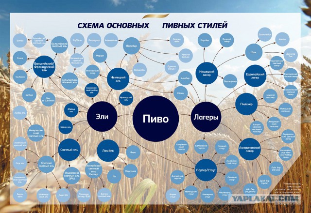 Манера общения с клиентом
