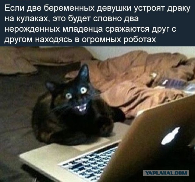 Пятница! За окном почернело