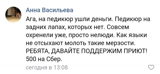 Помогите вернуть кота! Приют "Преданное сердце" украл кота и не отдает!-2