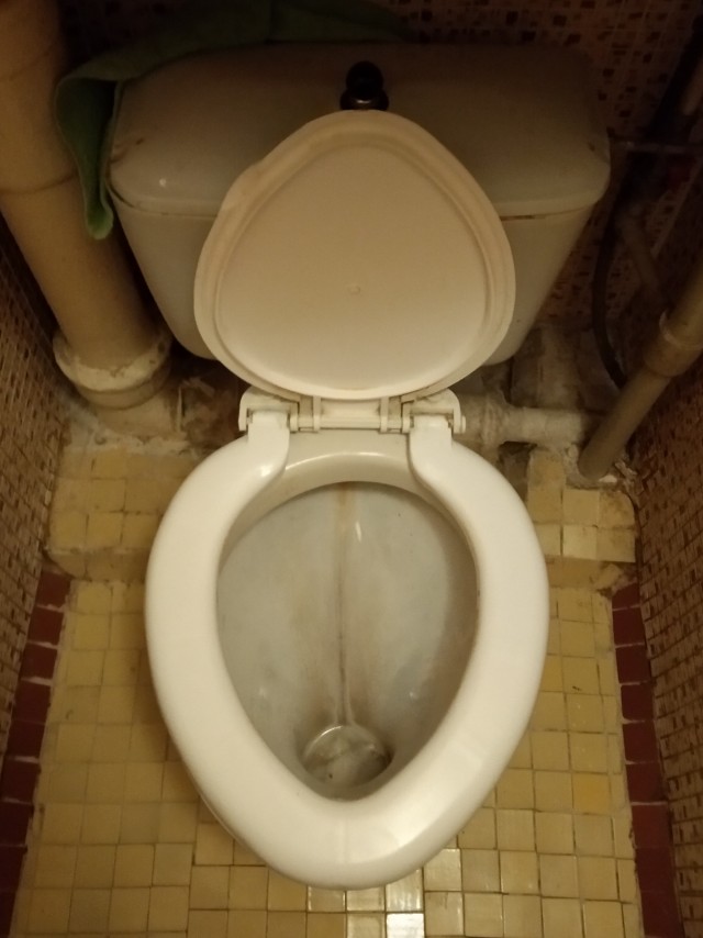 Туалеты мира