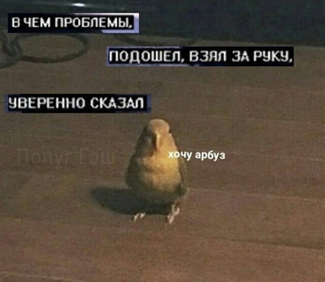 Поклонник Витаса :)