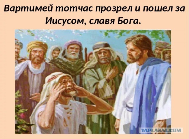 Ну вот и 200-ый герой моста глупости