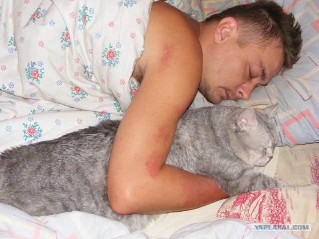 Маленькая девочка не дала в обиду своего кота