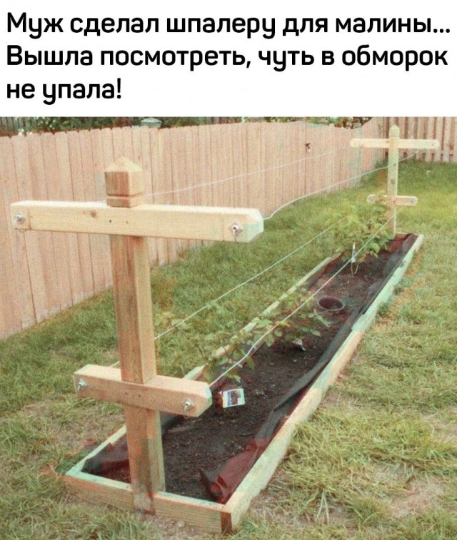 Баянисто-небаянистый юмор. 28.04.21